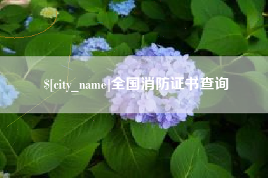 全国消防证书查询