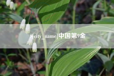 中国第9金