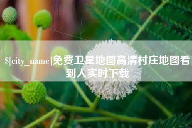 免费卫星地图高清村庄地图看到人实时下载