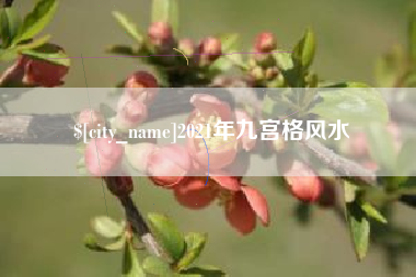2021年九宫格风水