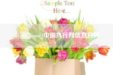 中国执行网信息官网