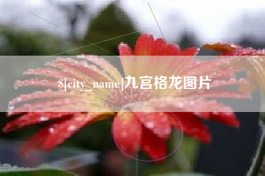 九宫格龙图片