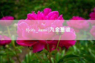 九金是谁