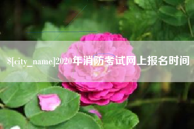 2020年消防考试网上报名时间