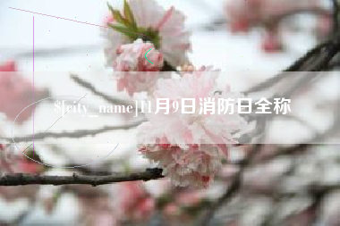 11月9日消防日全称