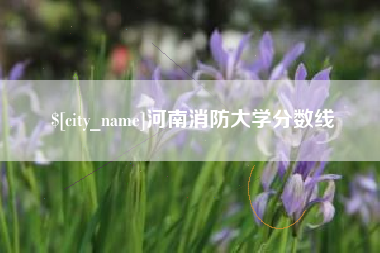 河南消防大学分数线
