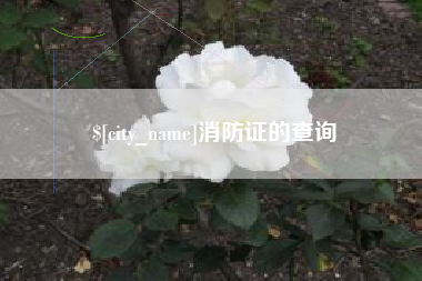 消防证的查询