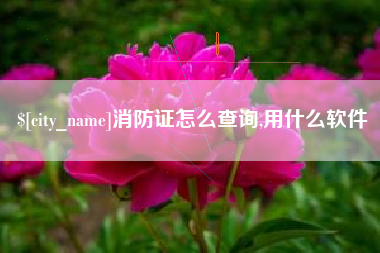 消防证怎么查询,用什么软件