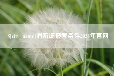 消防证报考条件2024年官网