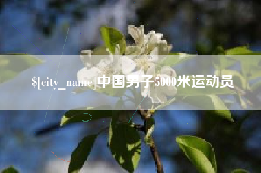 中国男子5000米运动员