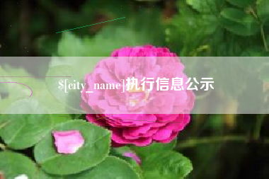 执行信息公示