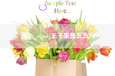王子豪是怎么写