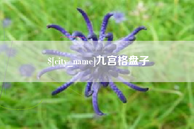 九宫格盘子