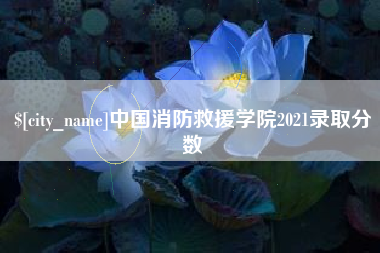 中国消防救援学院2021录取分数