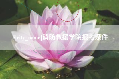 消防救援学院报考条件