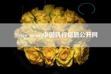 中国执行信息公开网