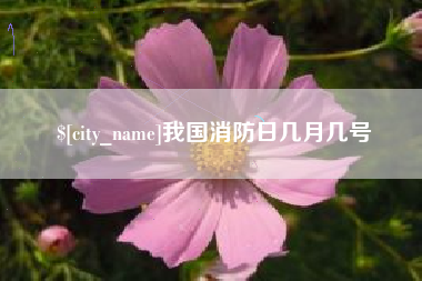 我国消防日几月几号