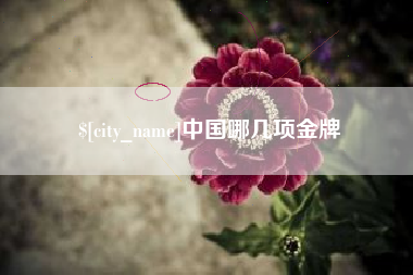 中国哪几项金牌