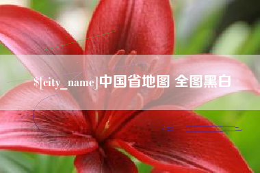 中国省地图 全图黑白
