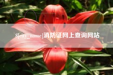 消防证网上查询网站
