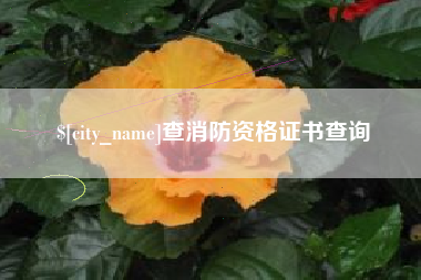 查消防资格证书查询