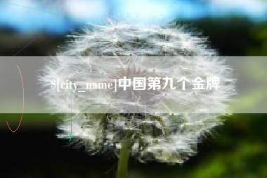中国第九个金牌