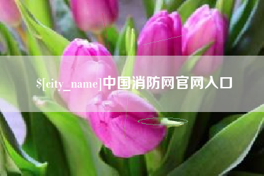 中国消防网官网入口