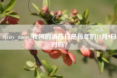我国的消防日是每年的11月9日对吗？