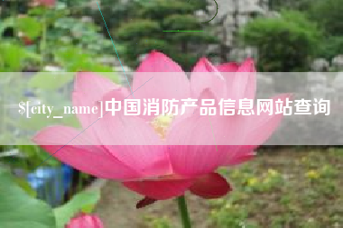 中国消防产品信息网站查询