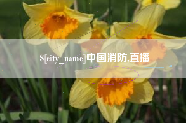 中国消防,直播