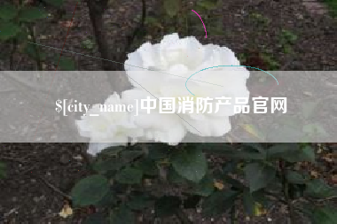 中国消防产品官网