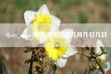 我国消防日是几月几日几日
