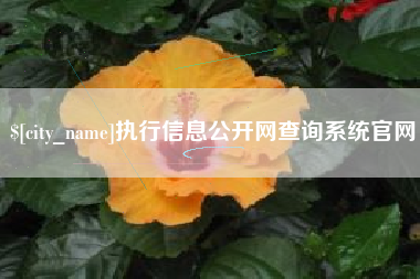 执行信息公开网查询系统官网
