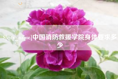 中国消防救援学院身体要求多少
