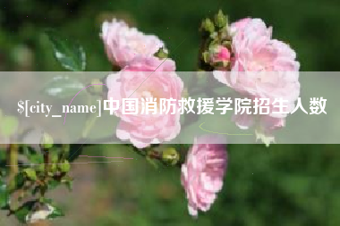 中国消防救援学院招生人数