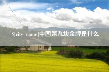中国第九块金牌是什么