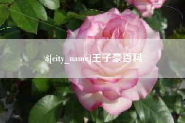 王子豪百科