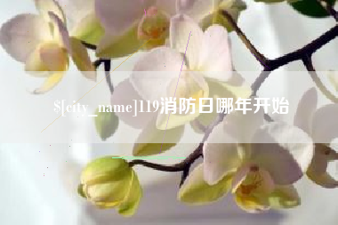 119消防日哪年开始