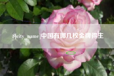 中国有哪几枚金牌得主