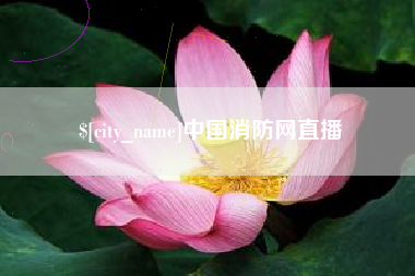 中国消防网直播