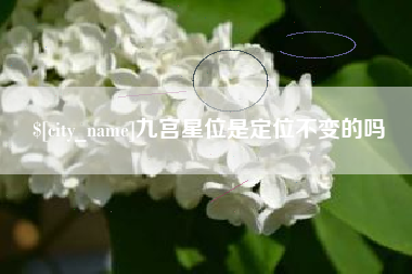九宫星位是定位不变的吗