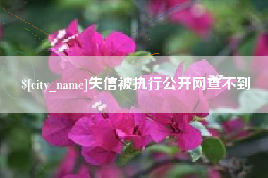 失信被执行公开网查不到