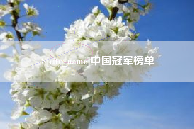 中国冠军榜单