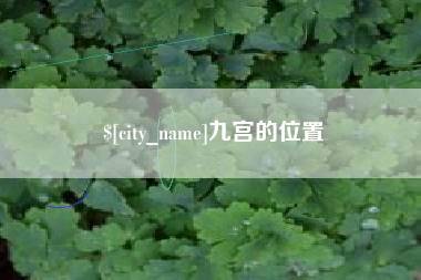 九宫的位置