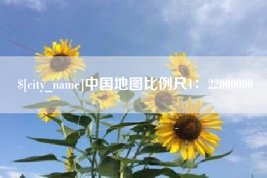中国地图比例尺1：22000000