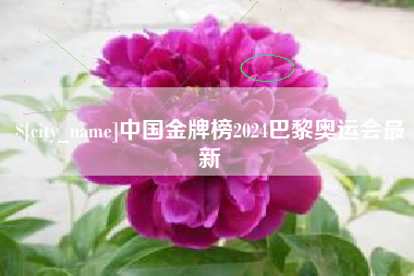 中国金牌榜2024巴黎奥运会最新