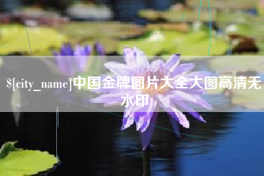 中国金牌图片大全大图高清无水印