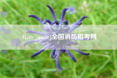全国消防招考网