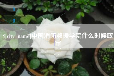 中国消防救援学院什么时候政审