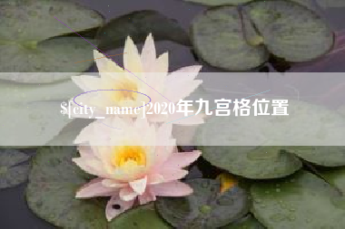 2020年九宫格位置